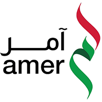 ثبت شرکت در دبی. شرکت های دولتی دبی