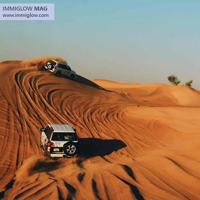 راهنمای سافاری دبی