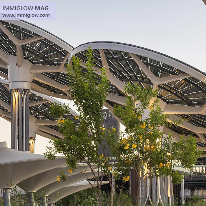 دبی اکسپو سیتی