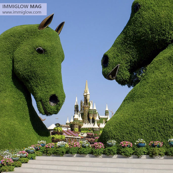 میراکل گاردن دبی، باغ گل های دبی