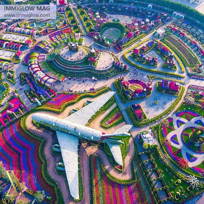 میراکل گاردن دبی، باغ گل های دبی