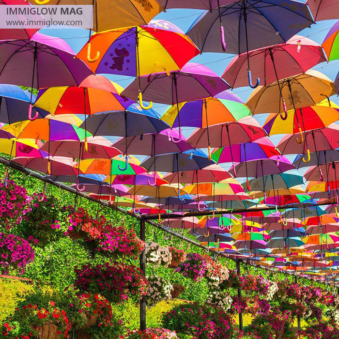 میراکل گاردن دبی، باغ گل های دبی