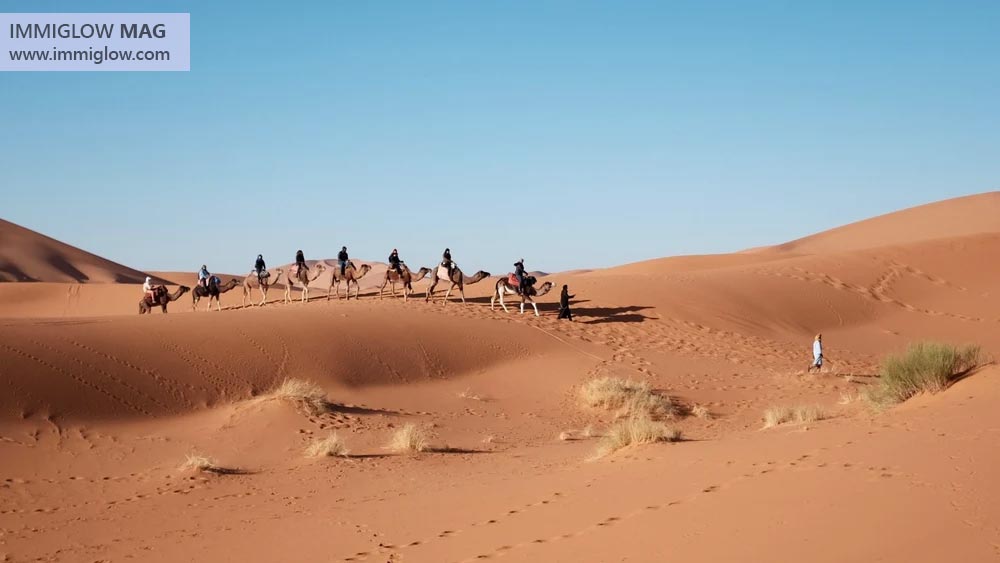 راهنمای سافاری دبی